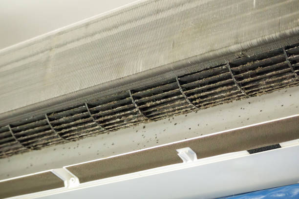 Best Local Air Duct Cleaning Services  in Saybrook Manor, CT